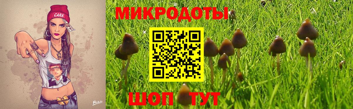 Арсеньев  Псилоцибиновые грибы прущие грибы  Псилоцибиновые грибы MAGIC MUSHROOMS  Вход с VPN 